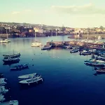 Centrocitta