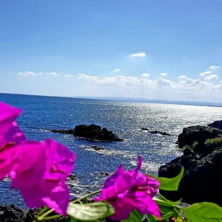 Centrocitta 別荘 *