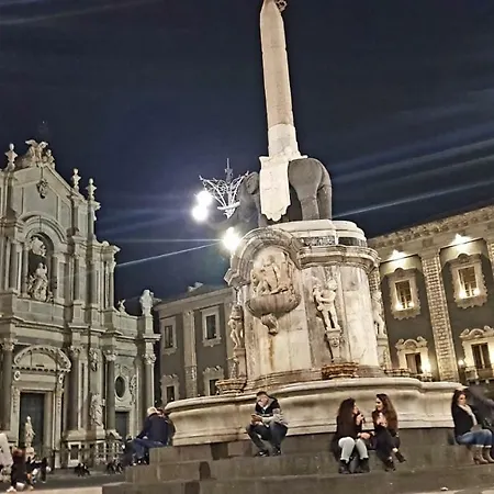 Centrocitta * Katánie