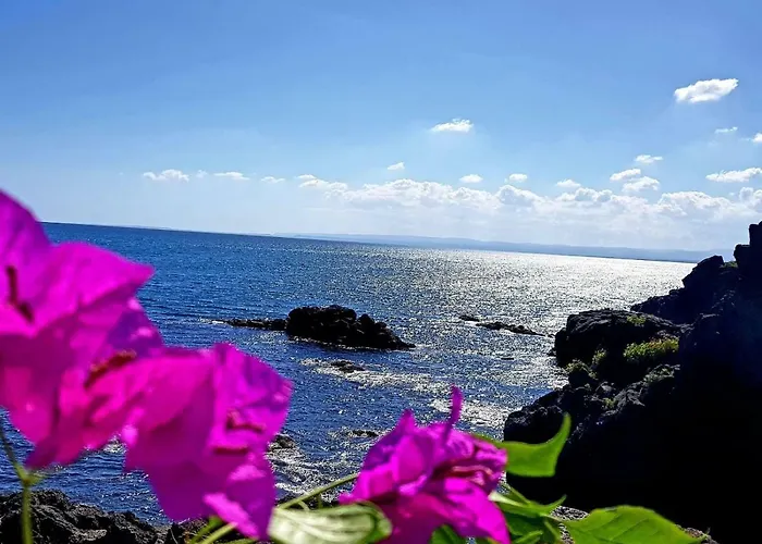 Centrocitta Feriehus *